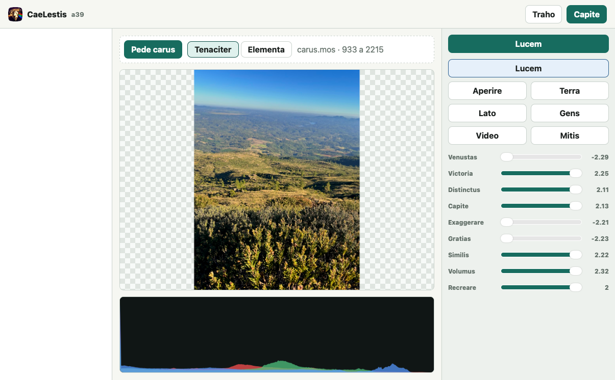 Anonymized interface